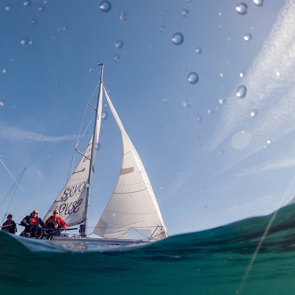 2° ETTORE SANTARELLI TROPHY DOLPHIN 81
